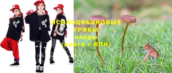 спиды Кодинск